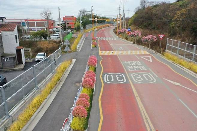 삼향초등학교에 조성된 어린이 보호 구역 내 자녀 안심 그린 숲. 무안군 제공