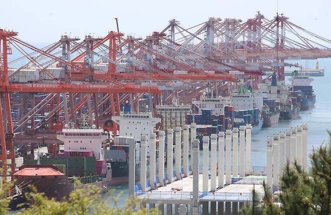 지난 4월 21일 부산항 신선대부두에서 컨테이너 하역작업이 진행되고 있다. /뉴스1