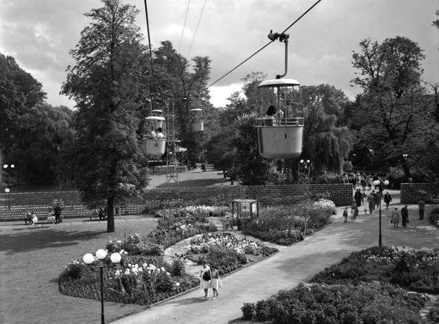 1960년 네덜란드 로테르담에서 제1회 국제원예박람회가 열리고 있다. 바우터 하겐스