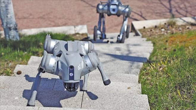 중국 항저우에 본사를 둔 로봇기업 유니트리로보틱스가 개발한 로봇 개 ‘GO2’가 계단을 오르고 있다.  로이터연합뉴스