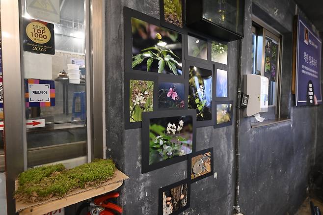 A restaurant in Mapo District, western Seoul, is decorated with demilitarized zone-sourced plants and barbed wire on May 9. [MINISTRY OF UNIFICATION]