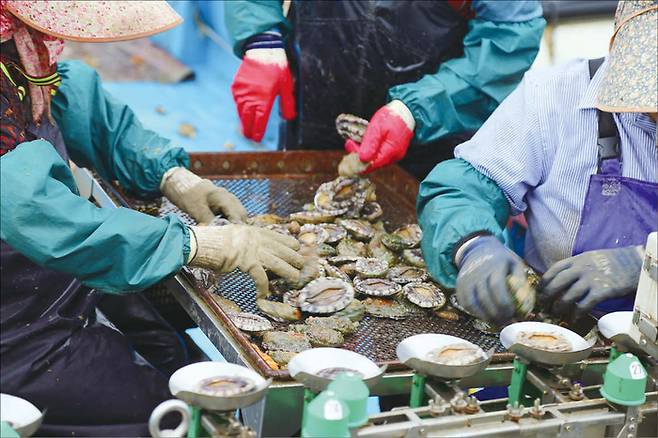 이랜드 식품과 유통 부문은 중간 유통 단계를 최소화하는 방식으로 비용 절감에 성공했다. 사진은 이랜드 완도 양식장 모습. (이랜드 제공)