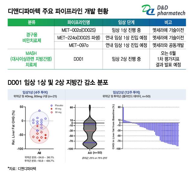 디앤디파마텍 주요 파이프라인 개발 현황 및 DD01 임상 1상 및 2상 지방간 가소 분포/디자인=김지영