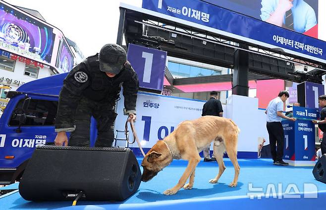 [대구=뉴시스] 권창회 기자 = 13일 대구 중구 동성로 광장에서 이재명 더불어민주당 대선 후보의 집중유세 시작 전 경찰 관계자와 폭발물 탐지견이 수색을 하고 있다. 2025.05.13. kch0523@newsis.com