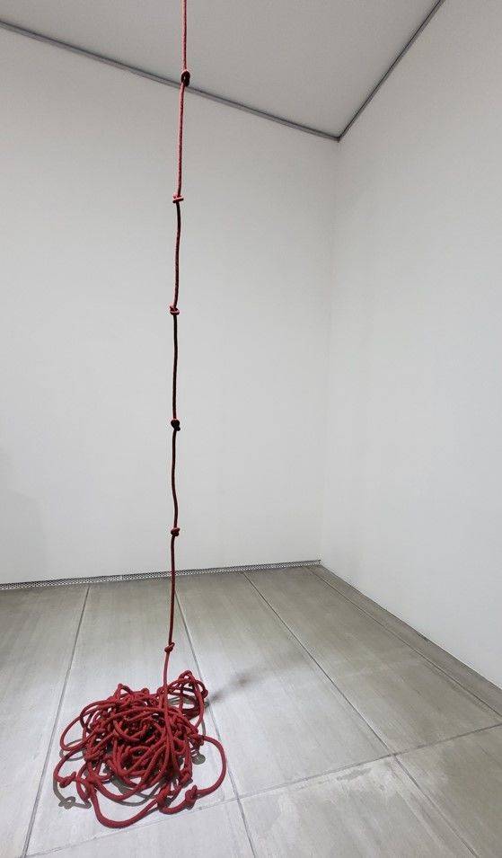 [=ֹ̼] 뱸 δ,  Ŭε ˶ ǰ.    ĵ ü   . 2025.05.14. hyun@newsis.c.om *Ǹ  DB 