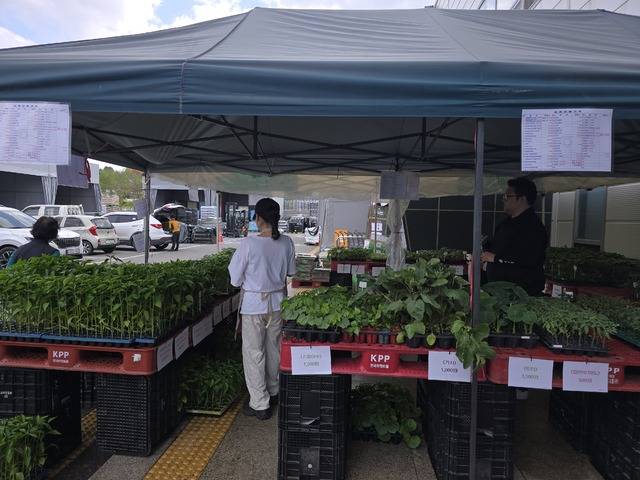 4월 21일부터 5월 9일까지 동천안농협 경제종합센터에서는 고추를 비롯한 토마토·가지·오이·호박 등 주요 작물의 고품질 모종을 저렴한 가격으로 판매하고 있는 모습.