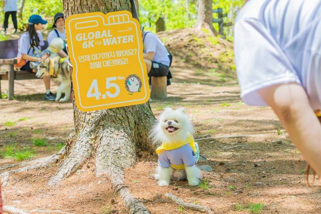 ⓒ하이원리조트