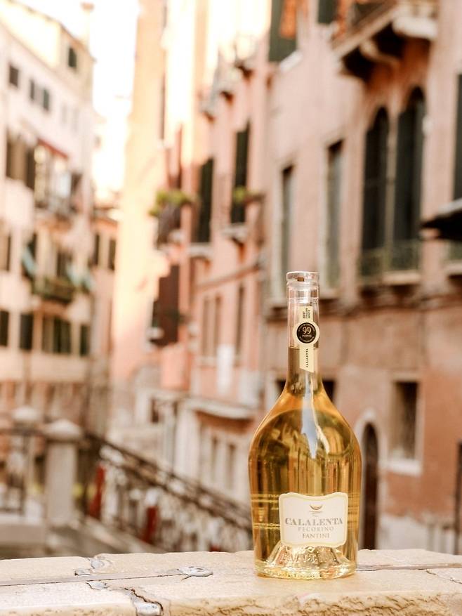 판티니 칼라렌타 페코리노. 인스타램