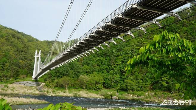 낙동강시발점 테마공원의 명호 이나리출렁다리. 태백 황지에서 발원한 낙동강 지류가 운곡천과 만나는 합수머리에 있는데  물살이 힘찬 래프팅 명소이기도 하다      봉화｜김재범 기자 oldfield@donga.com