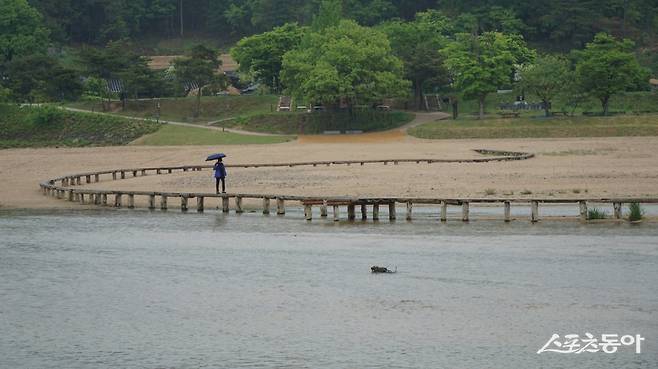 무섬마을의 백사장을 가로지르는 길게 굽은 나무다리. 영주 여행의 인증샷 명소다. 무섬마을은 반남 박씨와 선성 김씨 집성촌으로 자연과 어우러진 전통 마을의 모습을 잘 간직한 곳이다       영주｜김재범 기자 oldfield@donga.com