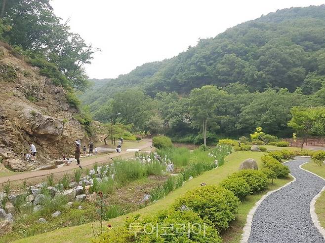 백야자연휴양림/사진-음성군