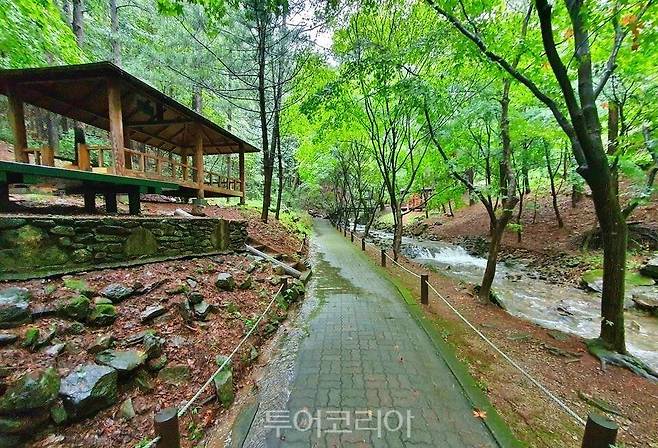 봉학골 산림욕장 산책길 /사진-음성군