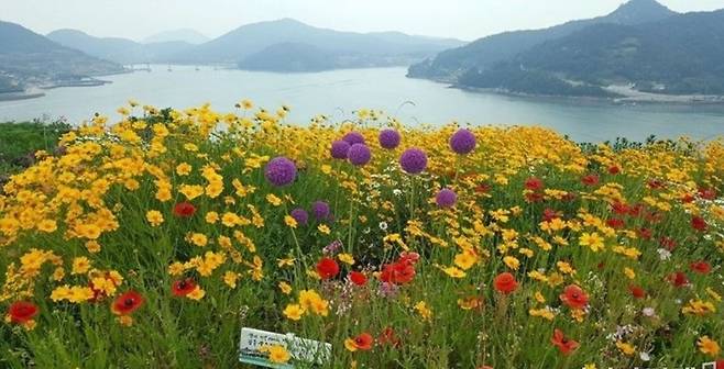 2017년 전남 1호 민간정원으로 등록된 전남 고흥군 봉래면 애도(쑥섬). 나로도항에서 3분 정도 배를 타고 들어가면 만날 수 있다. 전남도 제공