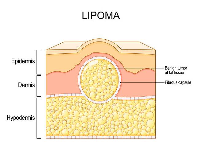게티이미지뱅크.