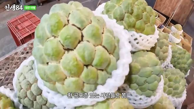 ㅅㅇ) 대만 야시장에 가서 맛있는거 먹는 기안84 ㄷㄷ....jpg 대만 야시장에 가서 맛있는거 먹는 기안84 ㄷㄷ....jpg