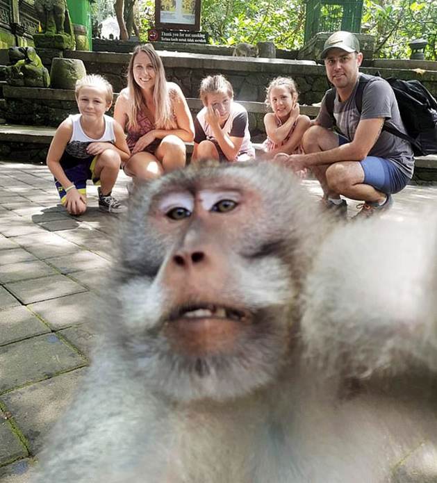 요즘 발리 여행 근황...jpg