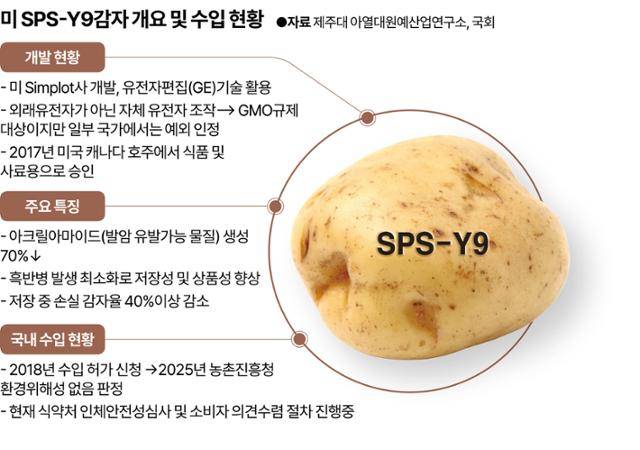 그래픽: 강준구 기자