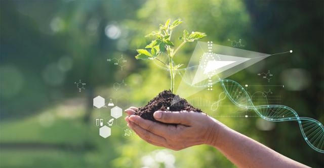 GMO 식물은 보다 우수한 작물을 얻기 위한 연구의 결과물로 안전성을 검증하기 위한 절차가 꼭 필요하다. 게티이미지뱅크