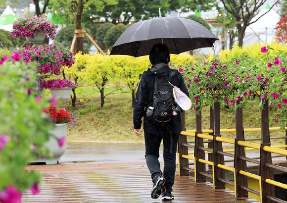 지난 9일 전남 장성 황룡강변에서 한 시민이 우산을 쓰고 산책하고 있다. [사진=연합뉴스]