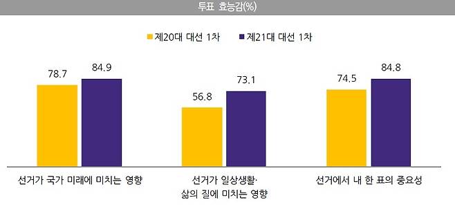 투표 효능감에 대한 여론조사 결과. 선관위 제공