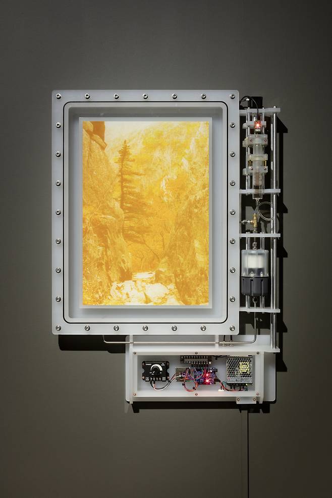 백정기 ‘is of 속리산 2024-1’(2025). 아라리오뮤지엄