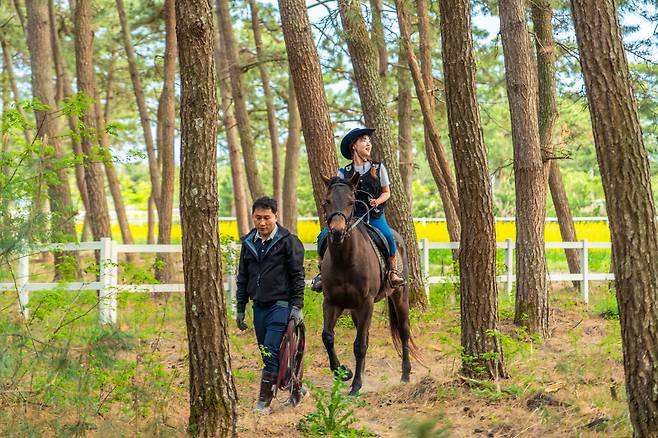 고창 해안 솔숲 승마