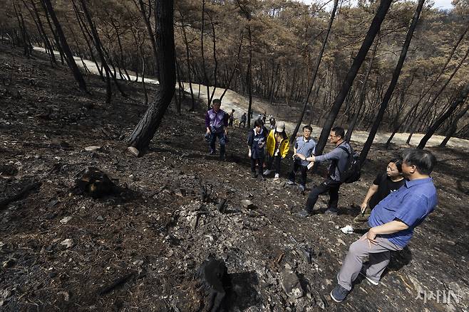 홍석환 부산대 조경학과 교수(오른쪽 세 번째)가 산불 현장 답사를 진행하고 있다. ⓒ시사IN 이명익