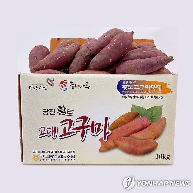 당진 해나루 황토고구마 [당진시 제공. 재판매 및 DB 금지]