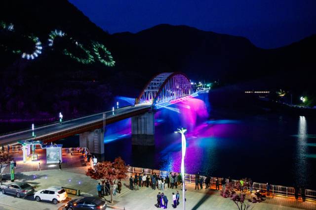 단양 고수대교 경관분수가 밤 하늘에 아름다운 수선화를 연출하며 첫 선을 보여 관광객과 주민들의 눈길을 사로잡고 있다. 단양군 제공