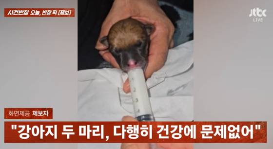 〈사진=JTBC '사건반장'〉