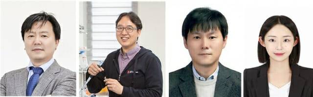 IBS 박쥐 오가노이드 연구진. 왼쪽부터 최영기 신변종바이러스연구센터장, 구본경 유전체 교정연구단장,  김현준 선임연구원, 허서영 연구원.