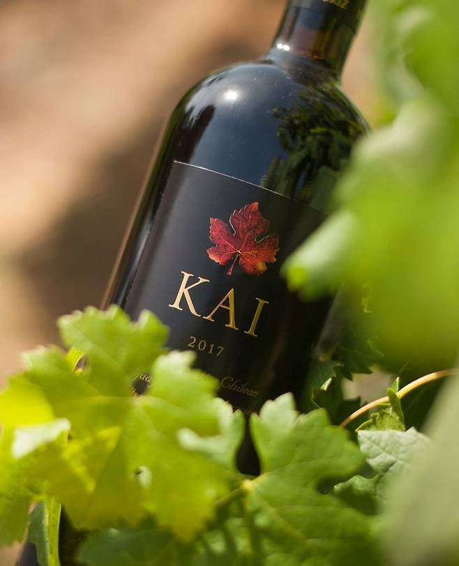 에라주리즈의 카르메네르 와인 '카이(KAI)'