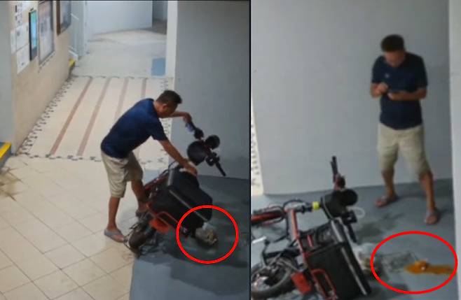 틱톡 영상 갈무리