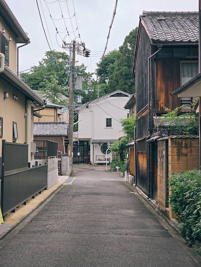 20250516_153739.jpg [여행] 급으로 온 교토여행