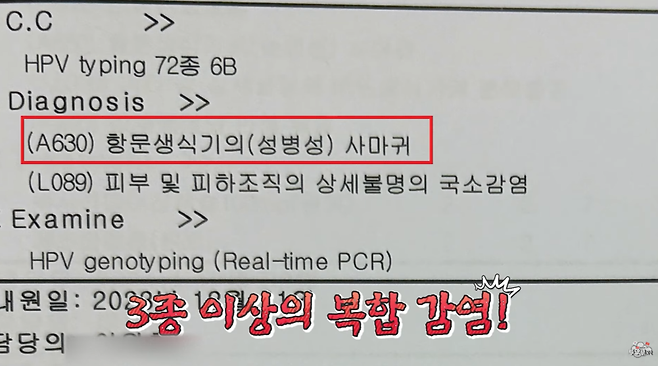 /사진=투우부부