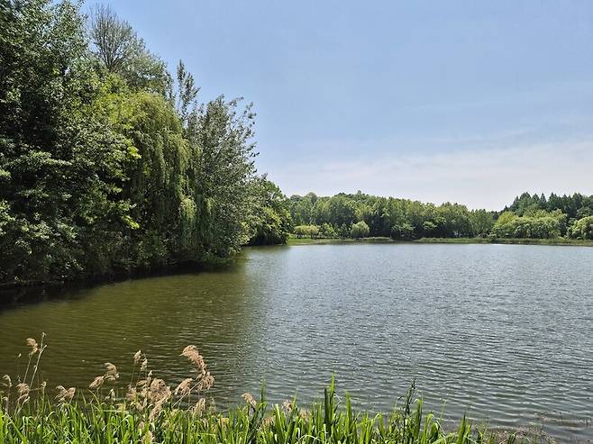 시민들의 휴식 공간으로 인기를 끄는 오송제 생태공원.