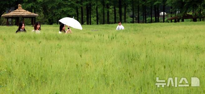 [인천=뉴시스] 전진환 기자 = 봄비가 내리는 16일 오전 인천 남동구 인천대공원 어울정원 청보리밭에서 시민들이 산책을 하고 있다.  2025.05.16. amin2@newsis.com