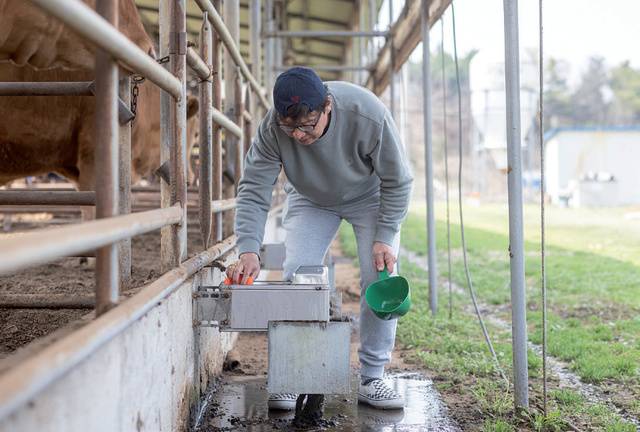 연호경 대표가 농장 관리 중 가장 중점을 두는 부분은 급수대다. 하루 두 번 이상 수세미로 깨끗이 청소해 소가 이물질과 이끼 없이 깨끗한 물을 마실 수 있게 한다.