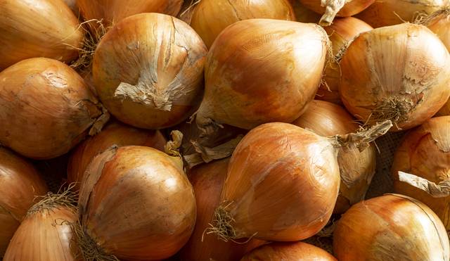 양파의무자조금관리위원회와 농협경제지주가 양파 소비촉진에 적극 나섰다. 두 기관은 전국 농협 하나로마트 1103곳 21일까지 7일간 최대 15% 할인행사를 진행한다. 이미지투데이