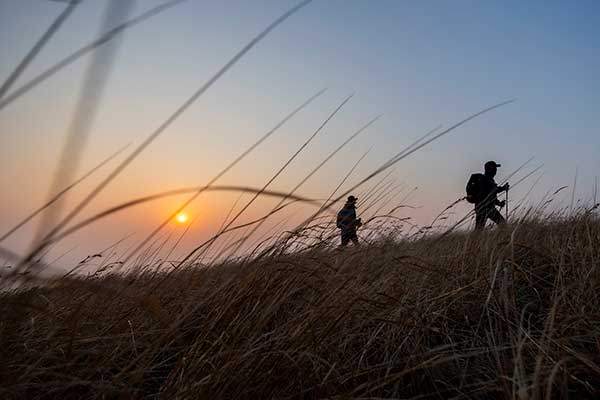 노을로 물드는 길갱이(수크령) 초원의 남과 여.