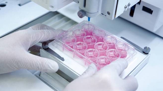 에피템-2 [로킷헬스케어 제공. 재판매 및 DB 금지]