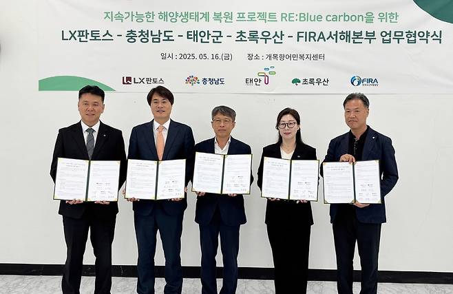 태안 앞바다에 탄소 먹는 바다숲…5개 기관·기업 4년간 2억원 투입 [태안군 제공. 재판매 및 DB 금지]