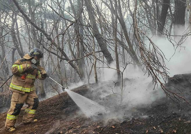 산불 대응하는 강원소방 [강원특별자치도소방본부 제공. 재판매 및 DB 금지]