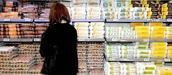 ▲ 농림축산식품부가 브라질산 가금류 제품에 대한 수입을 전면 중단했다. 브라질 남부 종계농장에서 고병원성 조류인플루엔자(HPAI)가 확진된 데 따른 조치다. 이번 조치로 닭고기에 이어 계란에 대한 제제도 관심이 쏠리고 있다./인천일보 DB