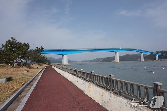 상·하조도를 잇는 조도대교. 다리 오른쪽이 상조도이다. 연장 510m로 울돌목을 가로지르는 진도대교보다 더 길다. 2025.5.16/뉴스1 ⓒ News1 조영석 기자