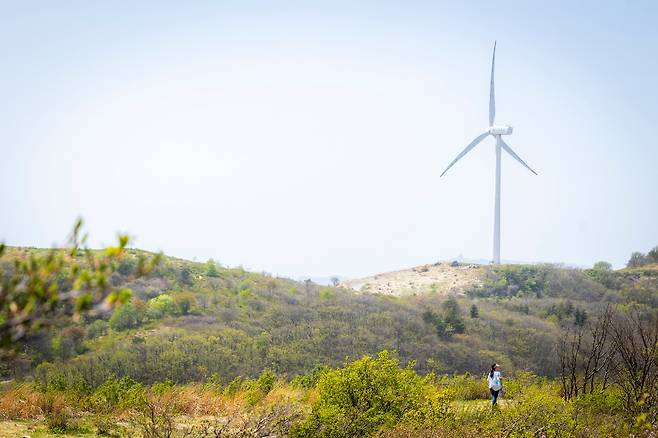 하늘 아래 드넓은 고원과 만나는 선자령 정상부. 풍력발전기가 눈에 들어오기 시작하면 걷기 여행자처럼 천천히 걸어도 좋을 일이다. / 이신영 영상미디어 기자