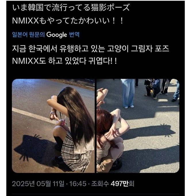 요즘 뜬다는 고양이 그림자 포즈
