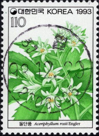 우리나라의 아름다운 자생식물을 국내외에 널리 알리고자 과거 체신부에서 1990년부터 1997년 사이에 발행한 야생화 시리즈 기념우표 중 1993년 4집에 소개된 식물이 돌단풍이다. 우문관