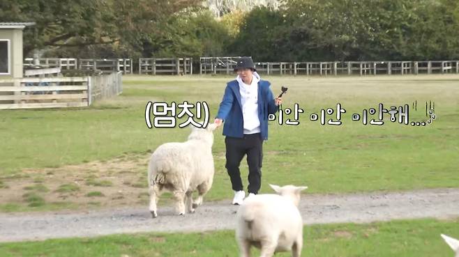 iMBC 연예뉴스 사진
