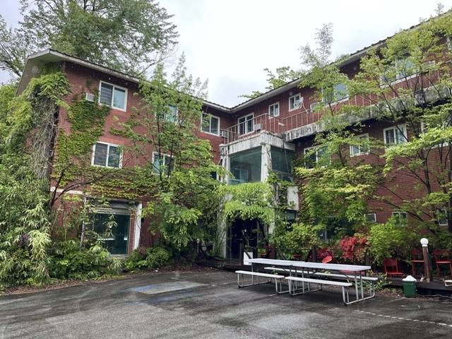 ▲ 공중정원 전시회가 진행중인 속초 설악동의 폐모텔 ‘하늘정원’